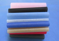 莆田涤纶（PET）无纺布是什么